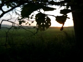 Pfingstzeltlager nach Weiermühle