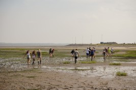 Sommerfahrt nach Römö